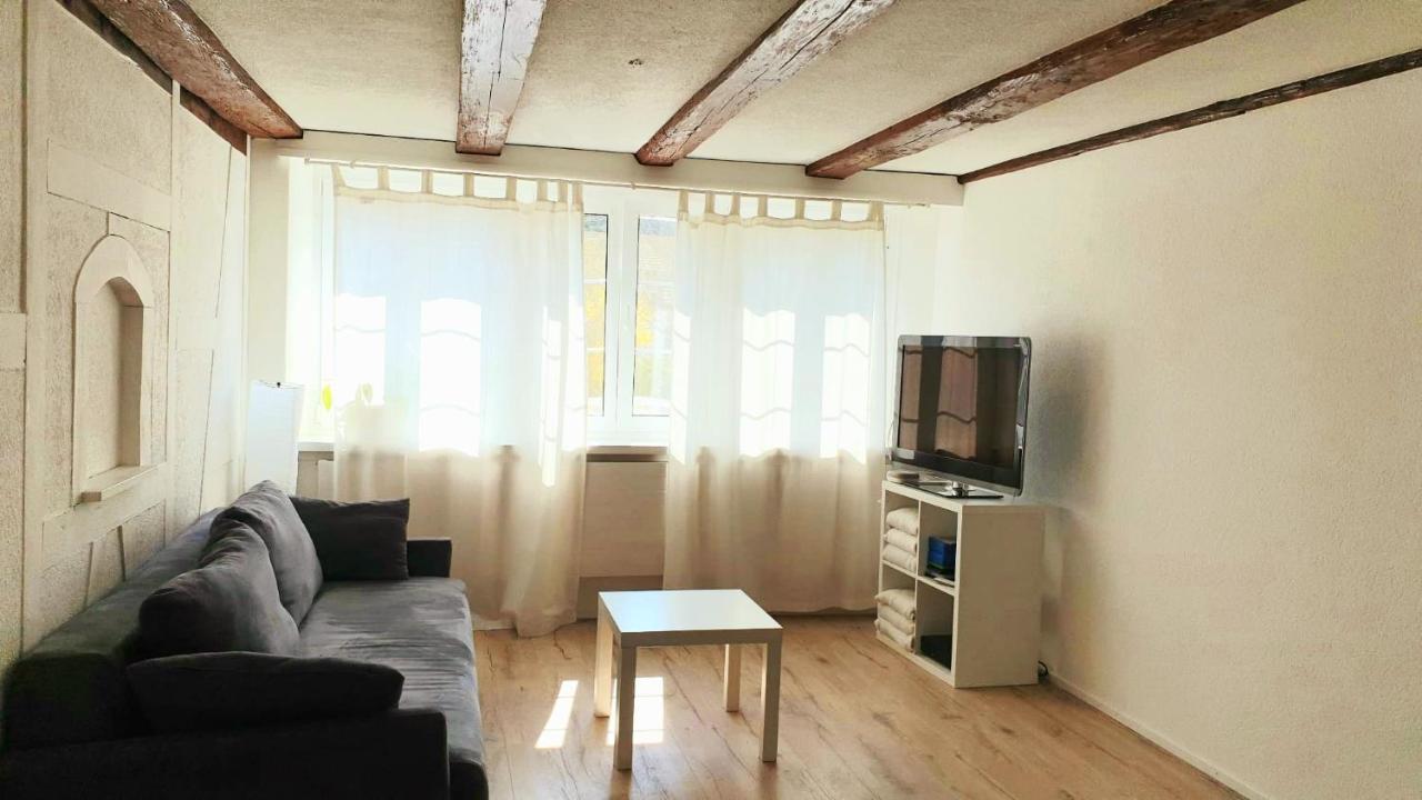 Cozy Apartment Close To Zurich Airport And City Oberglatt Екстериор снимка