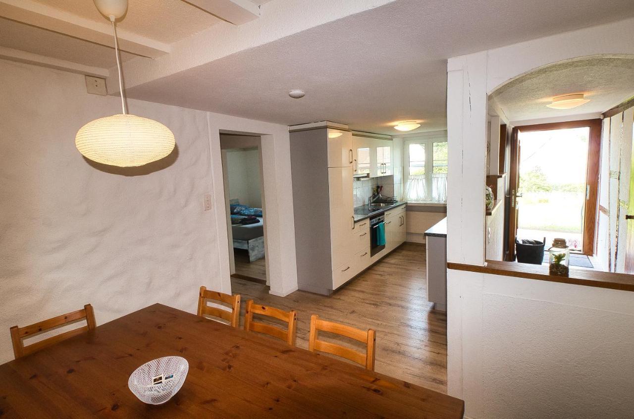 Cozy Apartment Close To Zurich Airport And City Oberglatt Екстериор снимка