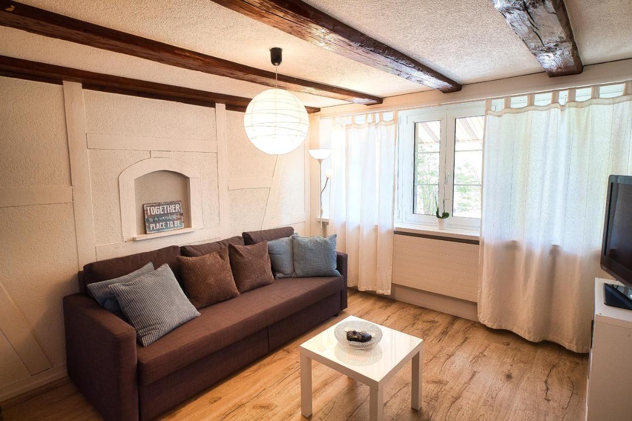 Cozy Apartment Close To Zurich Airport And City Oberglatt Екстериор снимка