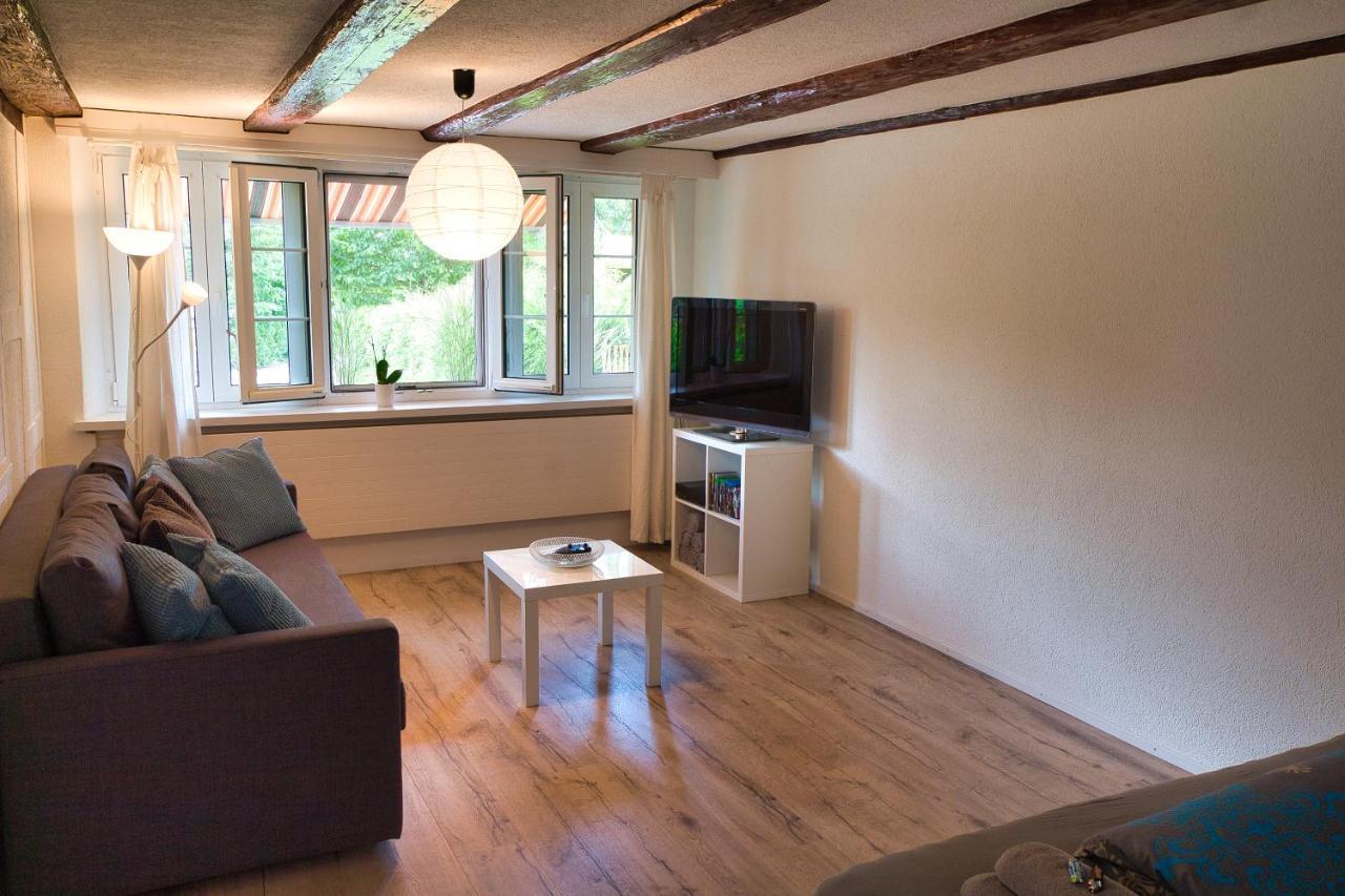 Cozy Apartment Close To Zurich Airport And City Oberglatt Екстериор снимка