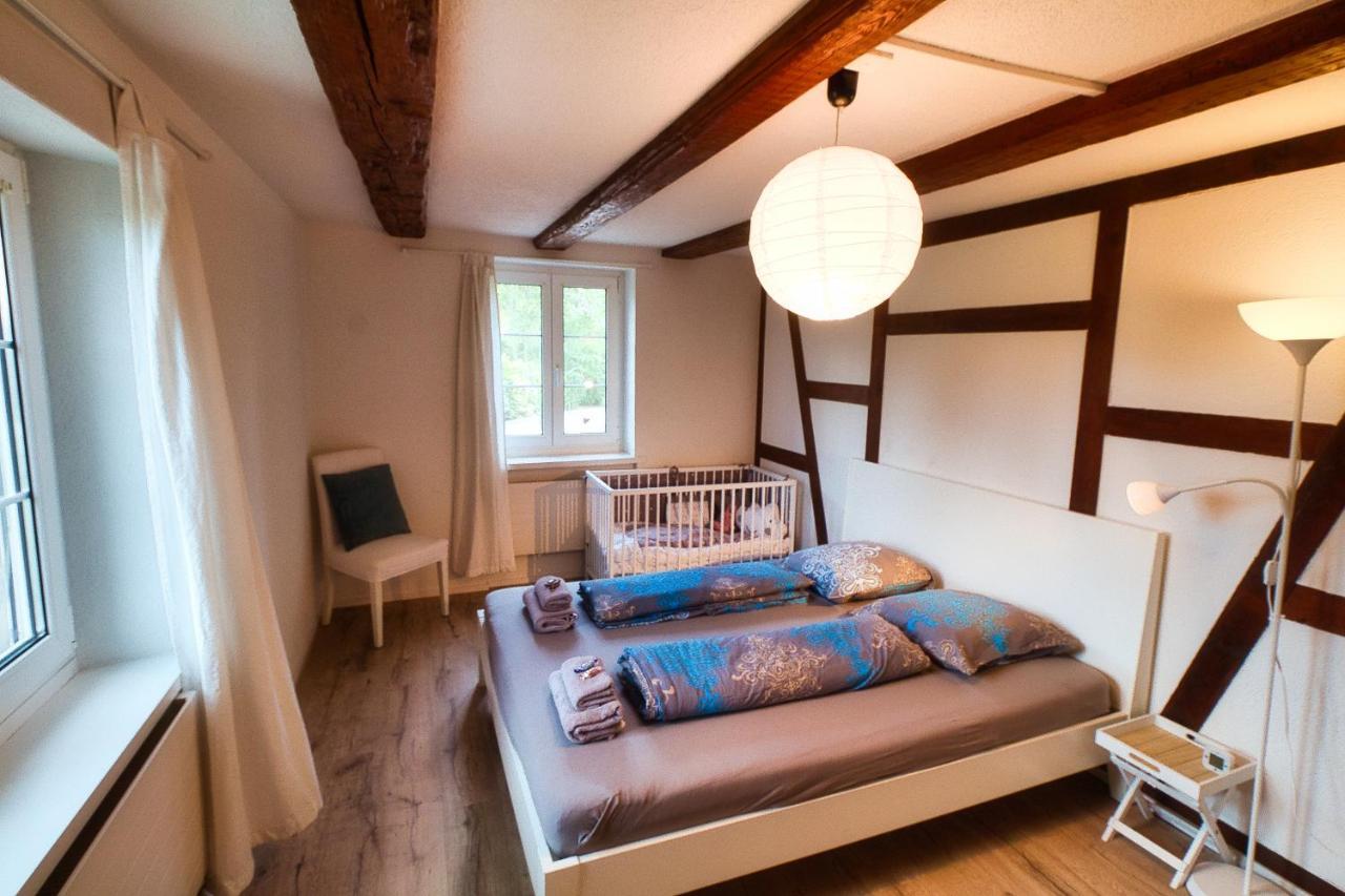 Cozy Apartment Close To Zurich Airport And City Oberglatt Екстериор снимка