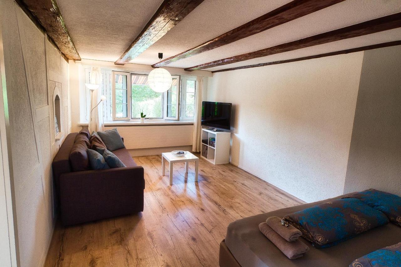 Cozy Apartment Close To Zurich Airport And City Oberglatt Екстериор снимка