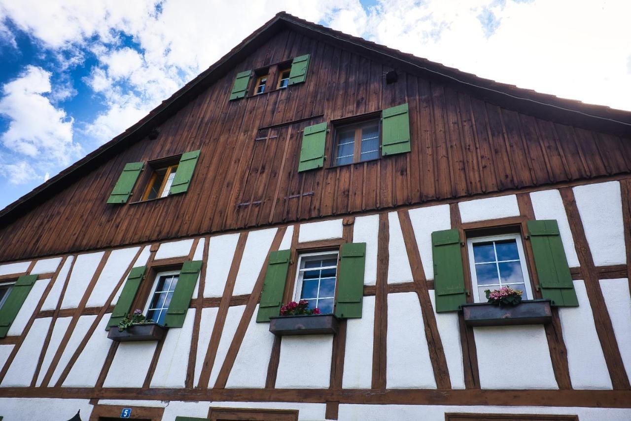 Cozy Apartment Close To Zurich Airport And City Oberglatt Екстериор снимка