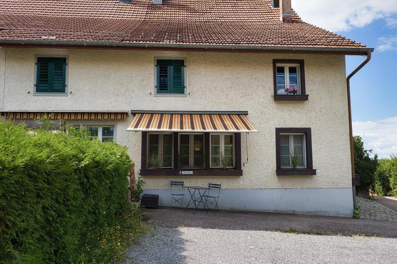 Cozy Apartment Close To Zurich Airport And City Oberglatt Екстериор снимка